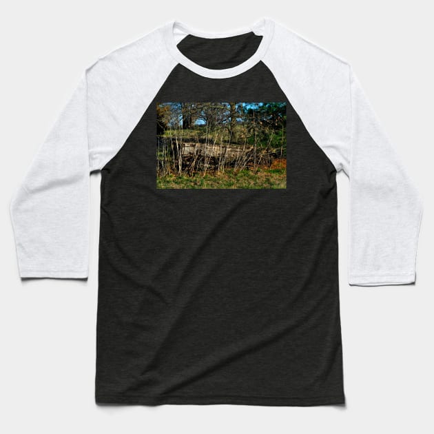 Not Yet Forgotten Baseball T-Shirt by michaelasamples